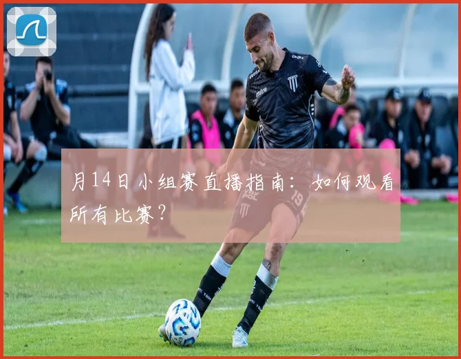 月14日小组赛直播指南:如何观看所有比赛?