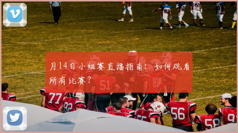 月14日小组赛直播指南：如何观看所有比赛？