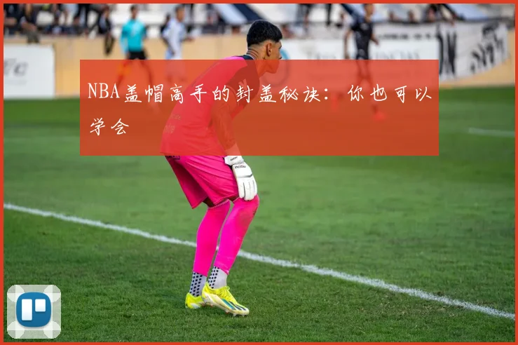 NBA盖帽高手的封盖秘诀：你也可以学会
